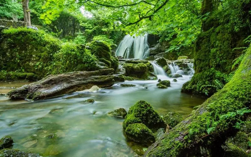 智能绿色高精度